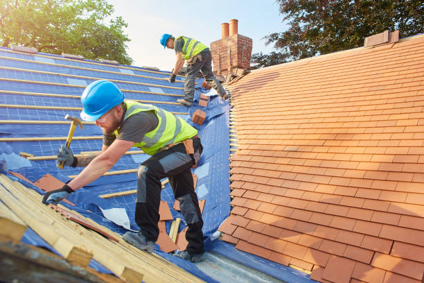 Best Roof Insulation Installation  in Vienna, WV